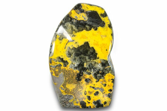 Very Vibrant, Free-Standing Polished Bumblebee Jasper #284200